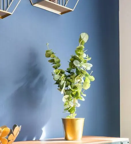 Wohlfuehloase Im Hippen Leipziger Osten